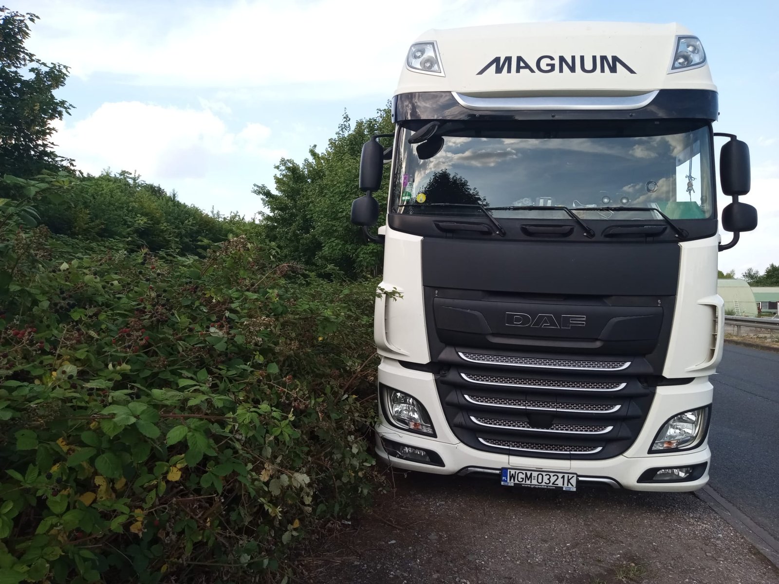 Mobilny serwis TIR Kędzierzyn-Koźle — silonaczepy, EBS Silonaczepa DAF w transporcie materiałów sypkich